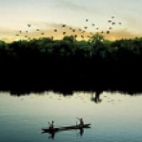 Photo of two men in a canoe watching birds take flight over the Amazon river, from film &quot;Eternal Amazon&quot;