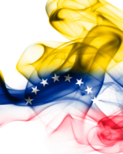 Venezuelan flag